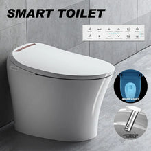 Bidet Toilet