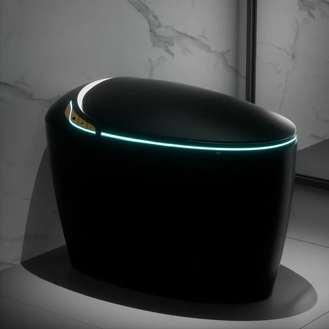 Luxury Smart Toilet