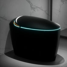 Luxury Smart Toilet