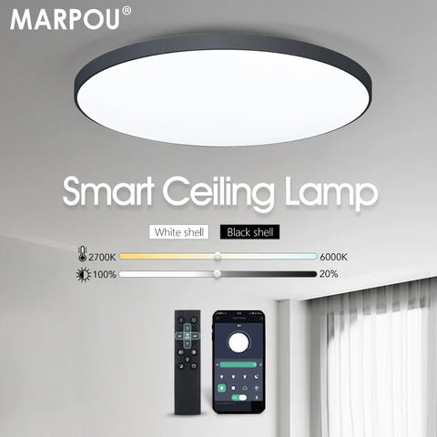 Smart ceiling lamp