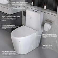 One Piece Toilet