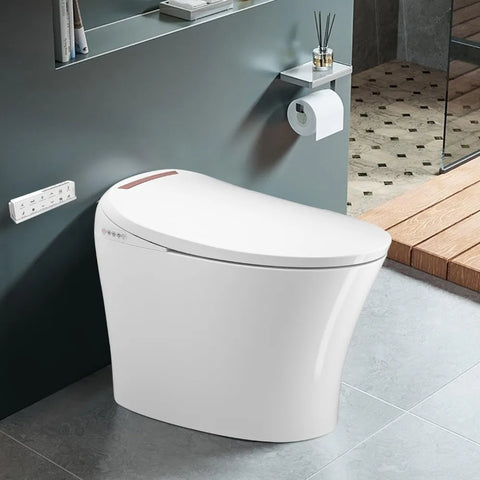 Bidet Toilet