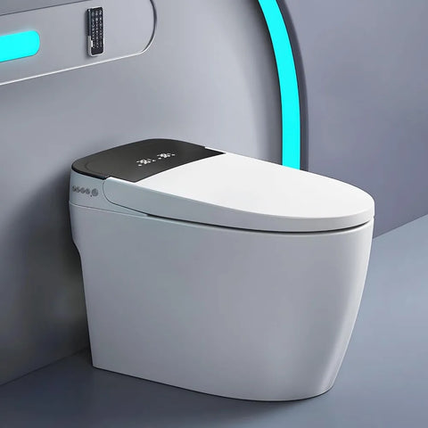 One Piece Bidet Toilet