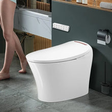 Bidet Toilet