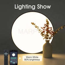 Smart ceiling lamp