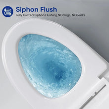 One Piece Toilet