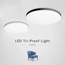 LED Ceiling Light